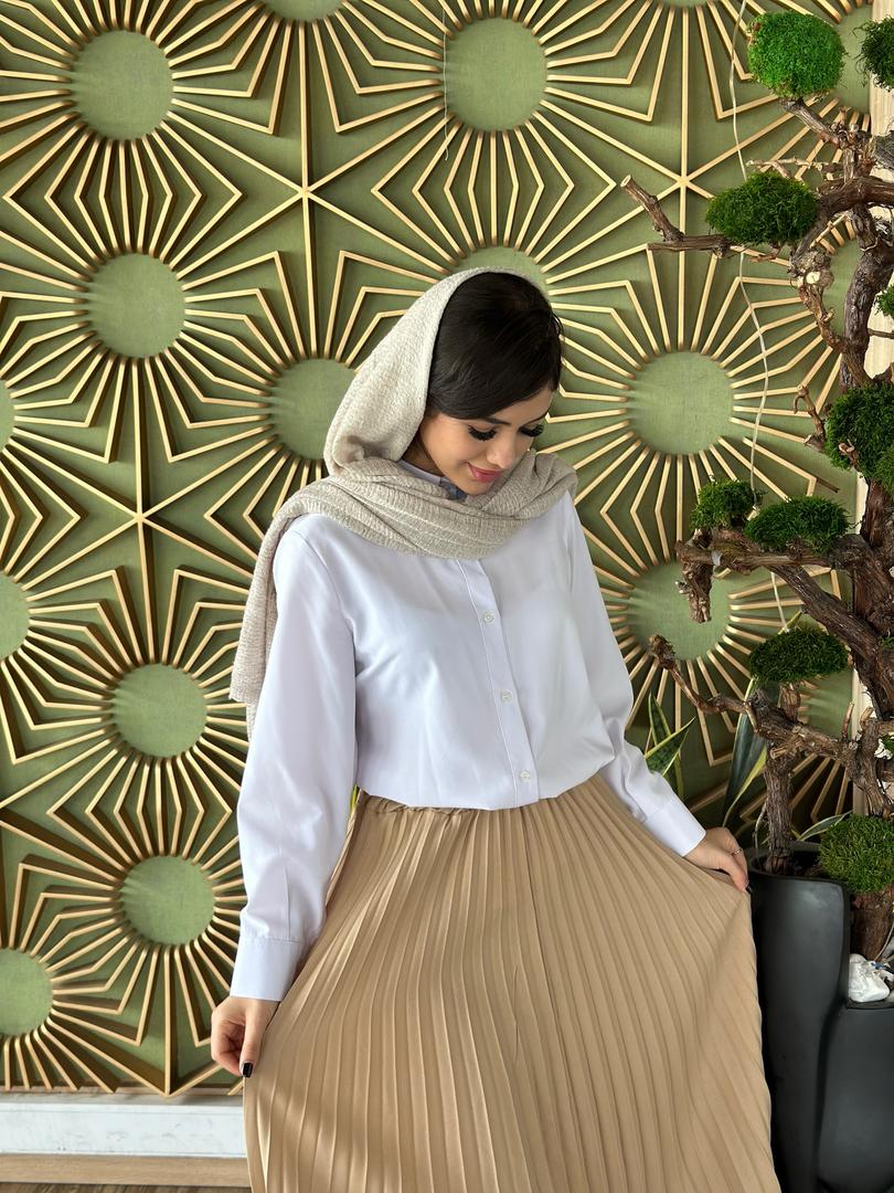 دامن پلیسه